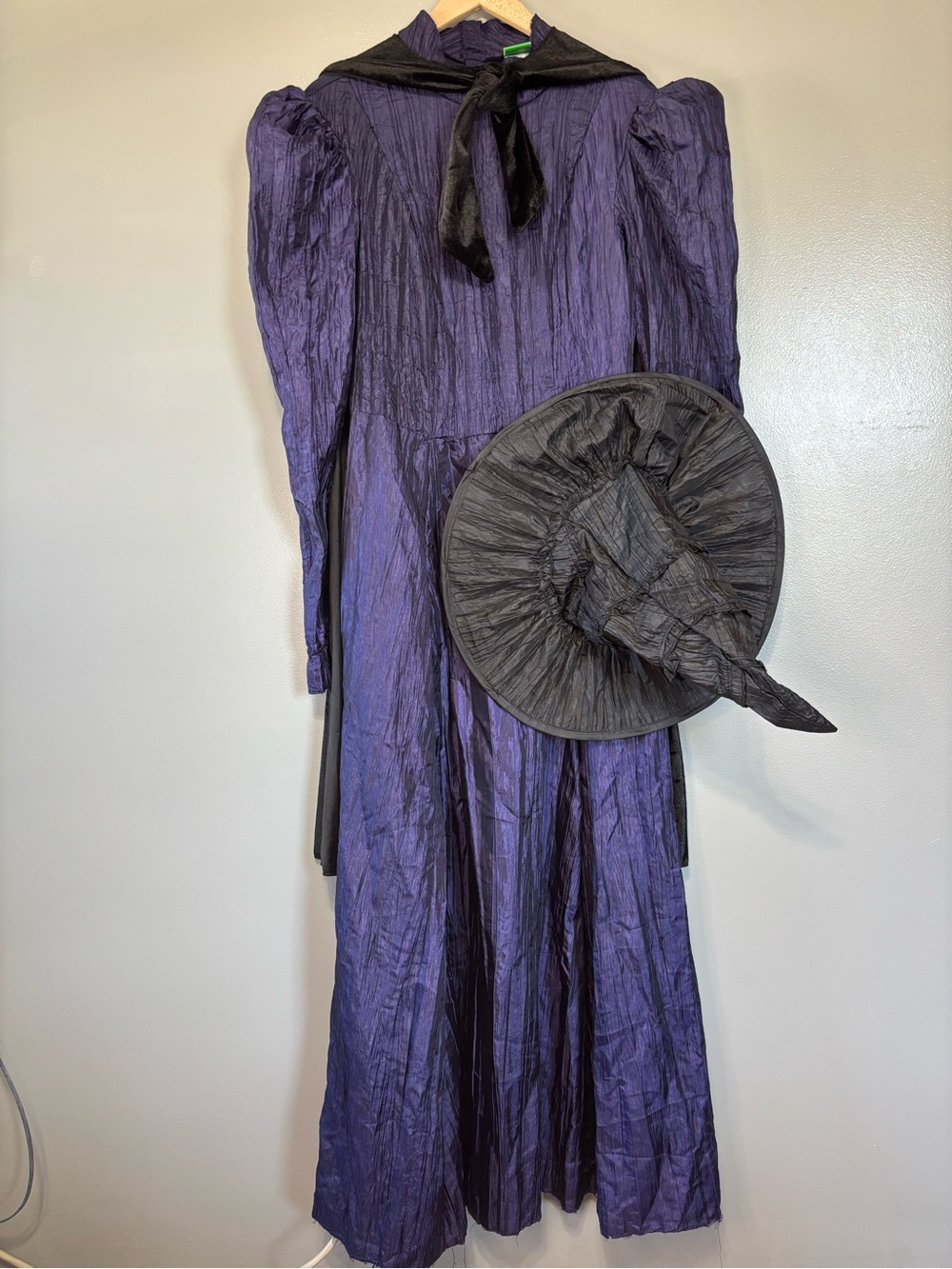 Wicked Elphaba Witch Halloween Costume Women’s Large